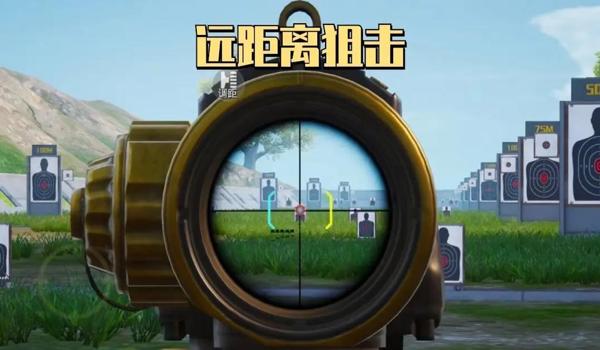 绝地求生绝望辅助是什么（使用绝地求生绝望辅助的风险和后果是什么？）